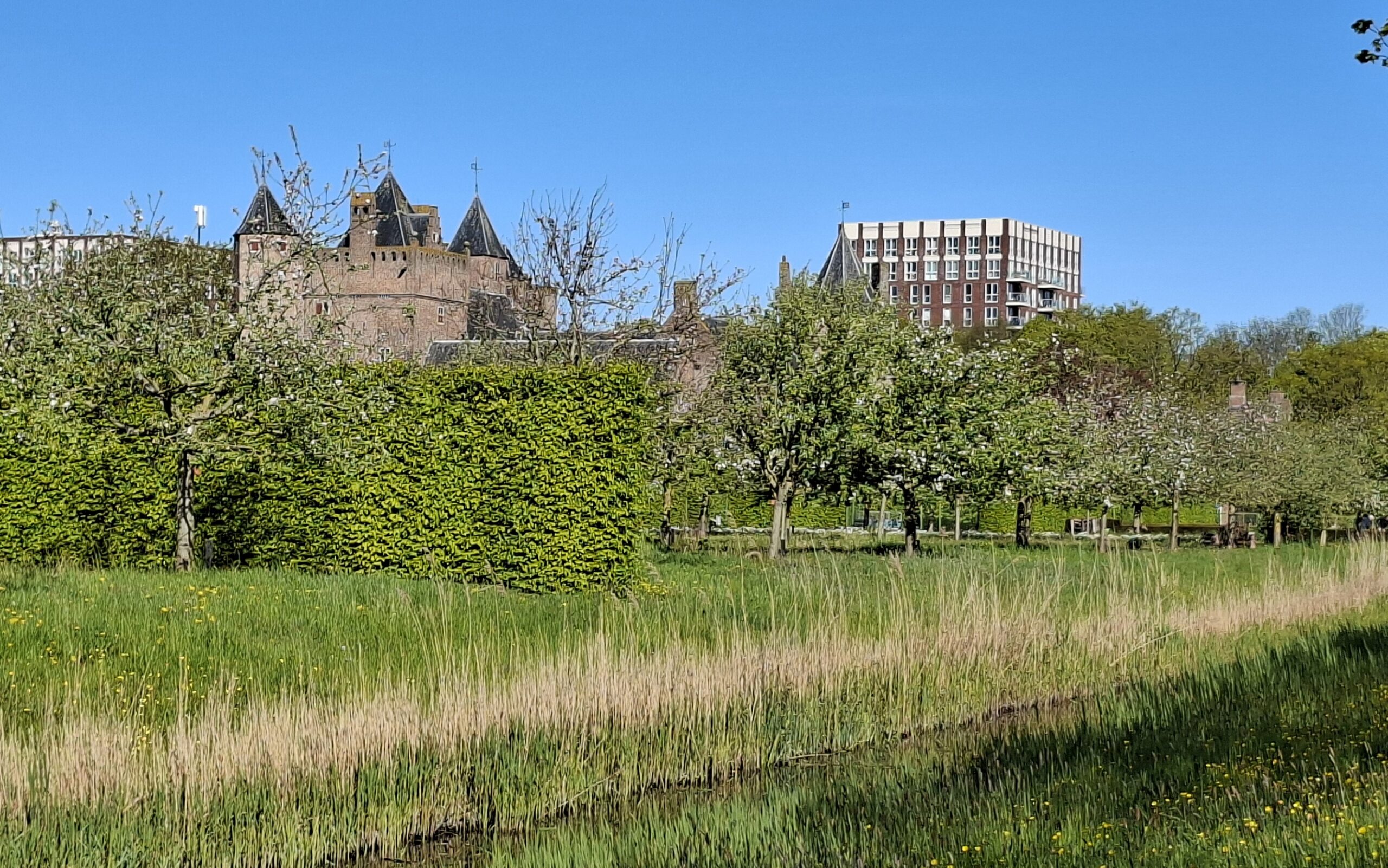 Landschap met kasteel, bomen en modern gebouw onder blauwe hemel.