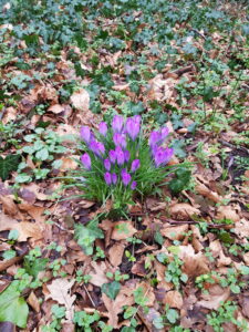 Wandeling rond Kasteel Marquette