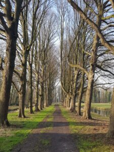 Wandeling rond Kasteel Marquette