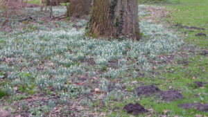Wandeling rond Kasteel Marquette