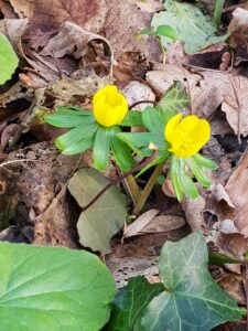 Wandeling rond Kasteel Marquette