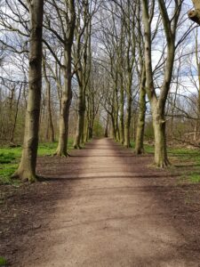 Wandeling Park Westerhout
