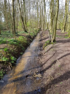 Wandeling Park Westerhout