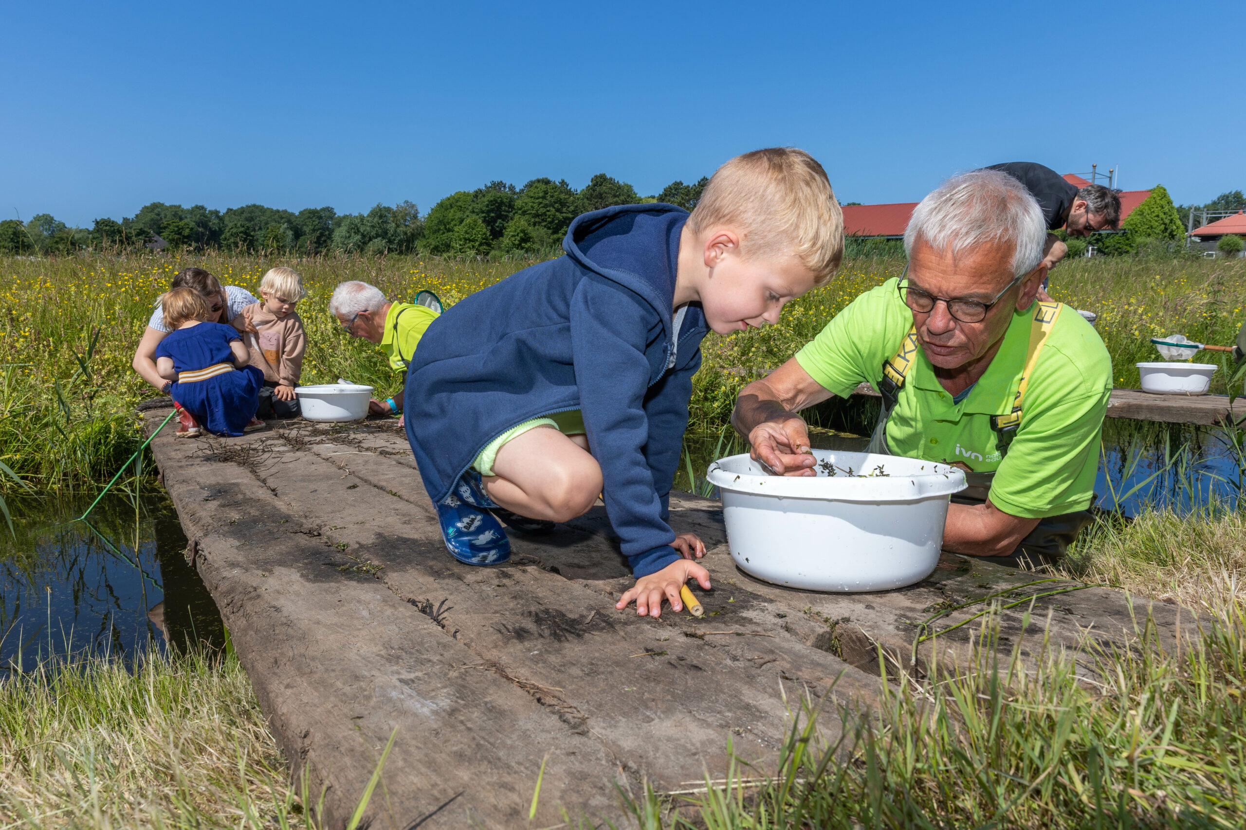 Kinderen en volwassenen onderzoeken waterleven in witte bakken op een houten vlonder in een veld.