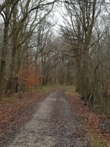 Oilebollentocht
