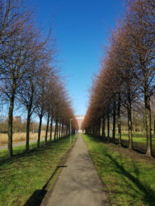 Wandeling Park Assumburg