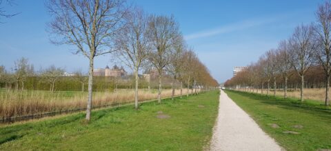 Wandeling Park Assumburg