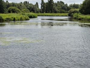 Rivier met zacht stromend water, omgeven door groene begroeiing en bomen aan de oevers.