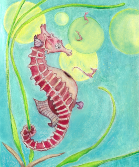 Illustratie van een rood zeepaardje met waterplanten en bellen in een blauwe onderwateromgeving.