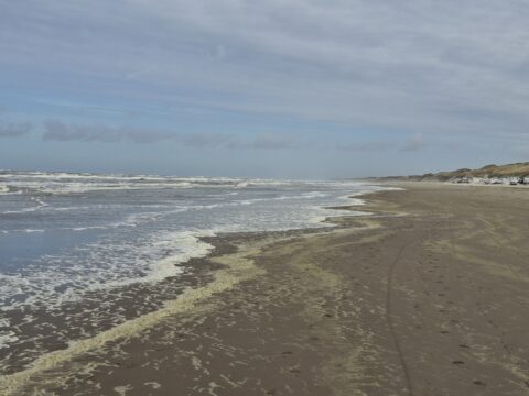 Wijd strand met golven, schuim, voetstappen en duinen onder een bewolkte lucht.