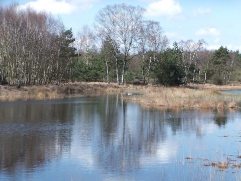 Strabrechtse heide