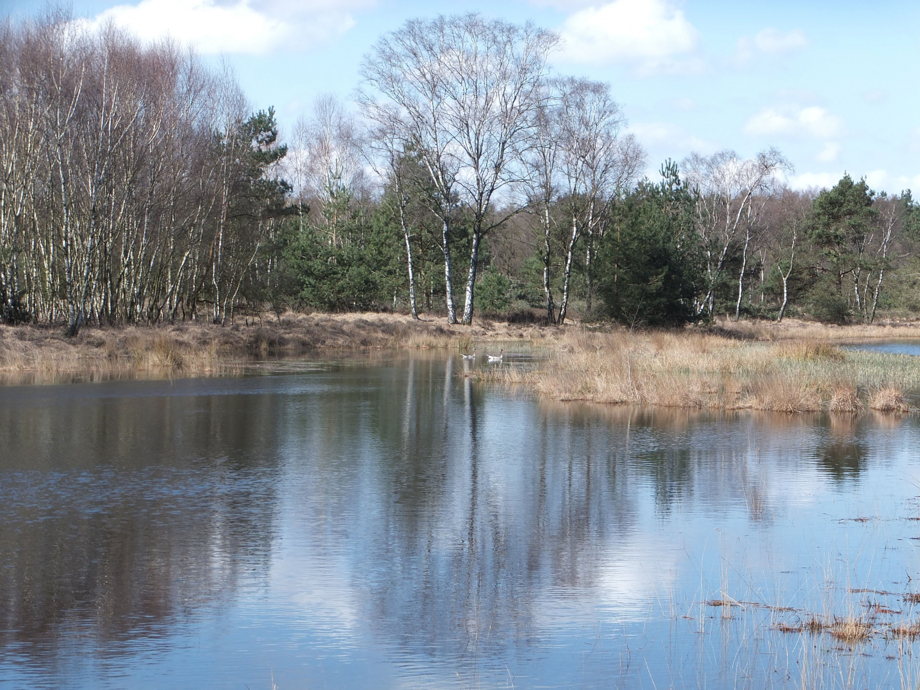 Strabrechtse heide