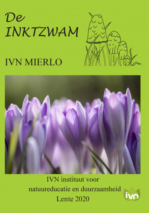 inktzwam Lente 2020