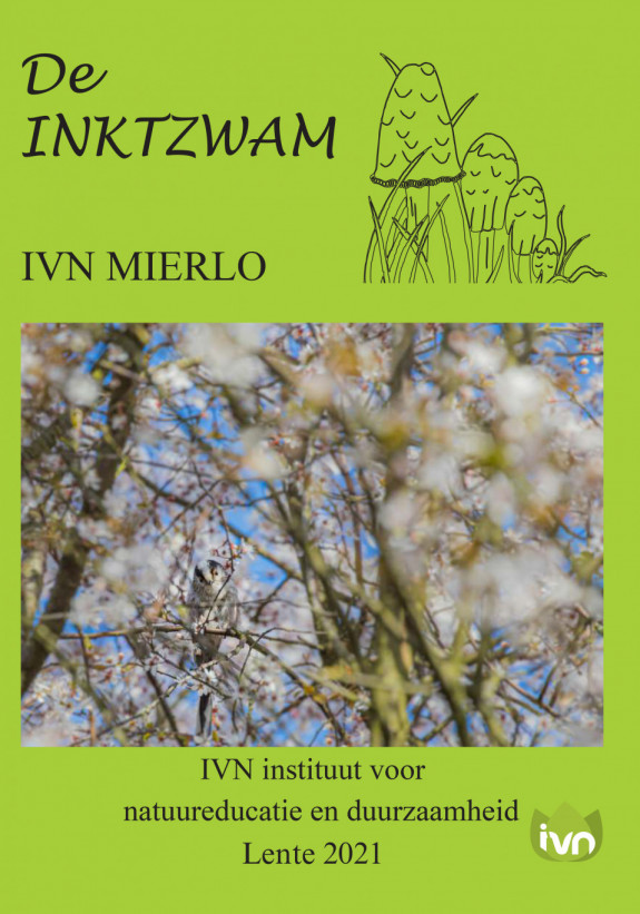 Inktzwam Lente 2021