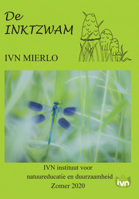 inktzwam zomer 2020