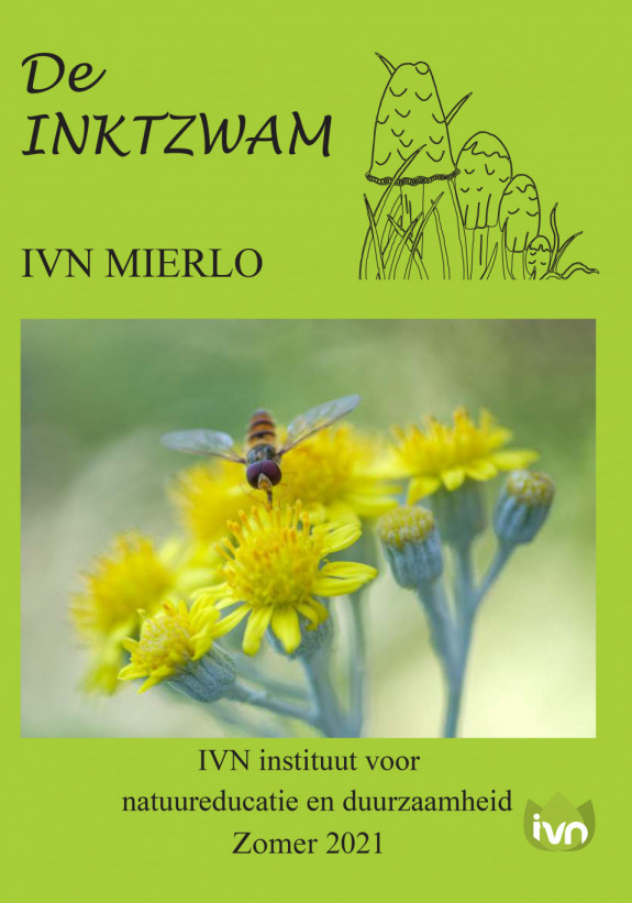 Inktzwam Zomer 2021