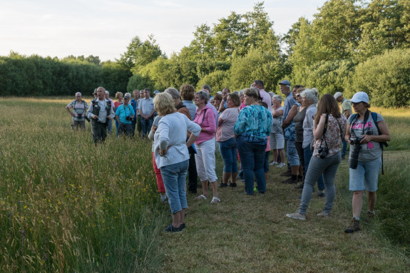 Groep mensen in een groen veld luistert naar een gids tijdens een natuurexcursie.
