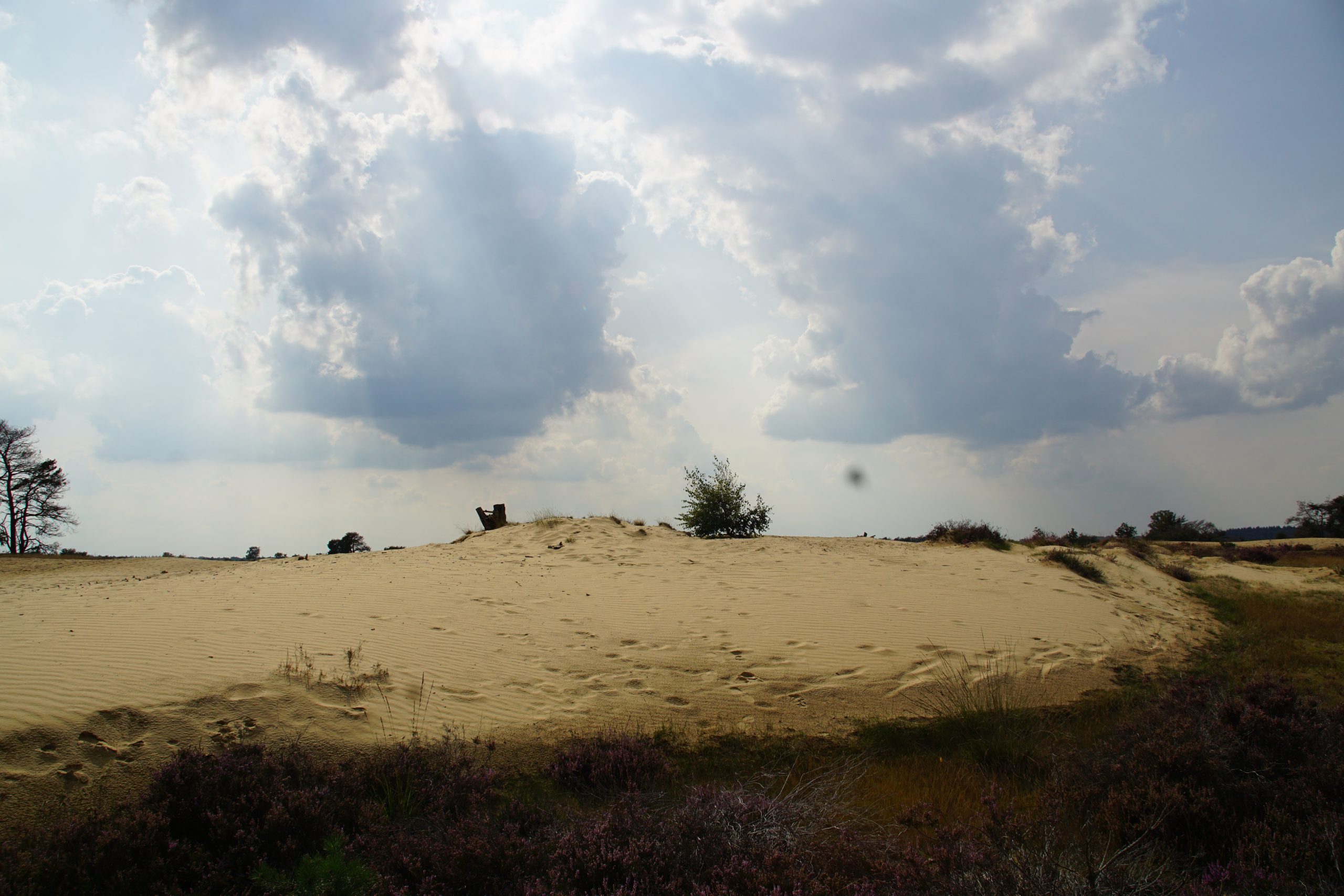 Zandduin onder bewolkte hemel met zonnestralen; struiken en bomen in de verte.