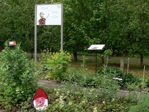 Tuin met bord "Geur en Voeltuin", omgeven door planten en houten kabouter in groen landschap.