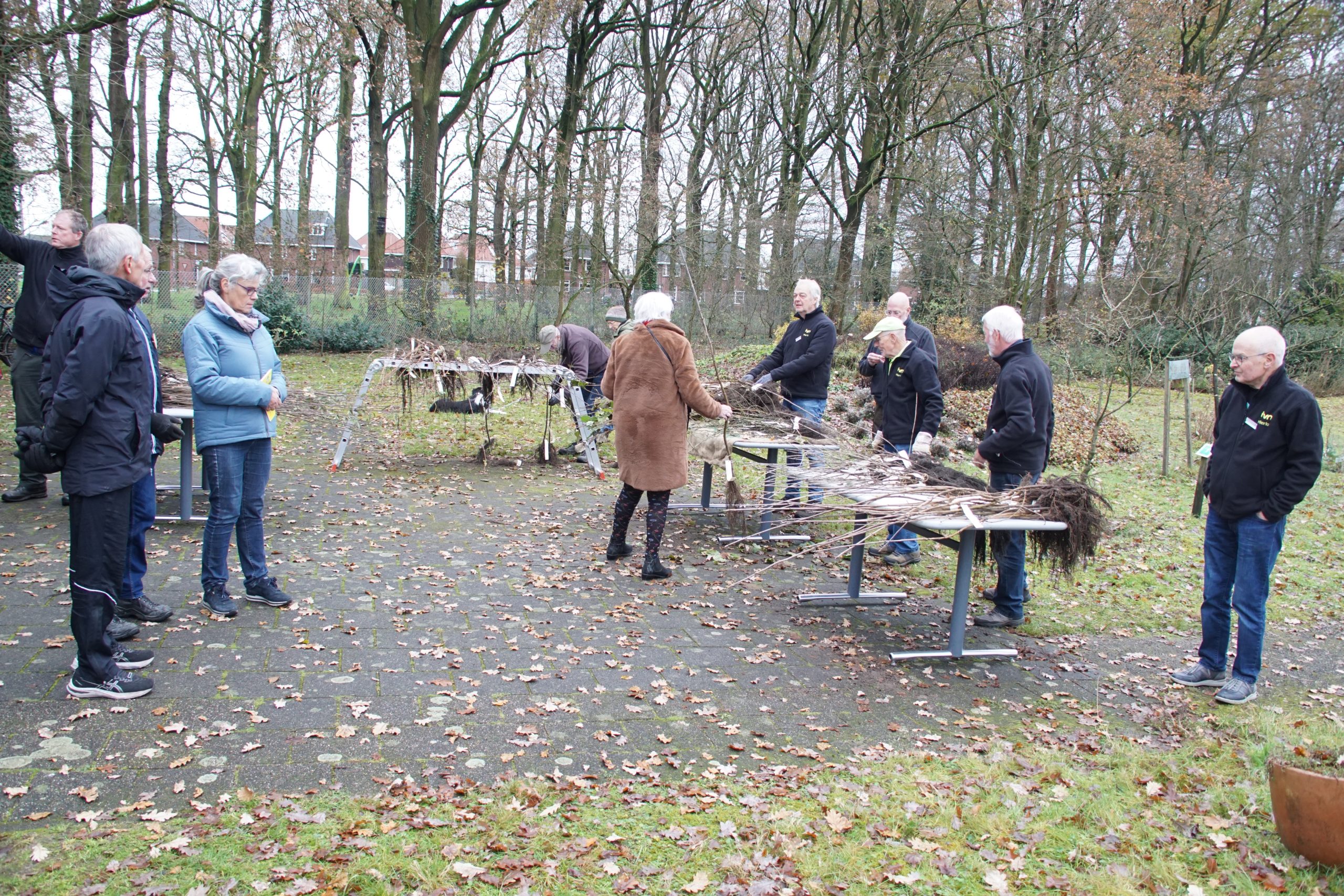 Een groep mensen werkt buiten aan tafels met rietbossen, omringd door bomen op een herfstachtige dag.