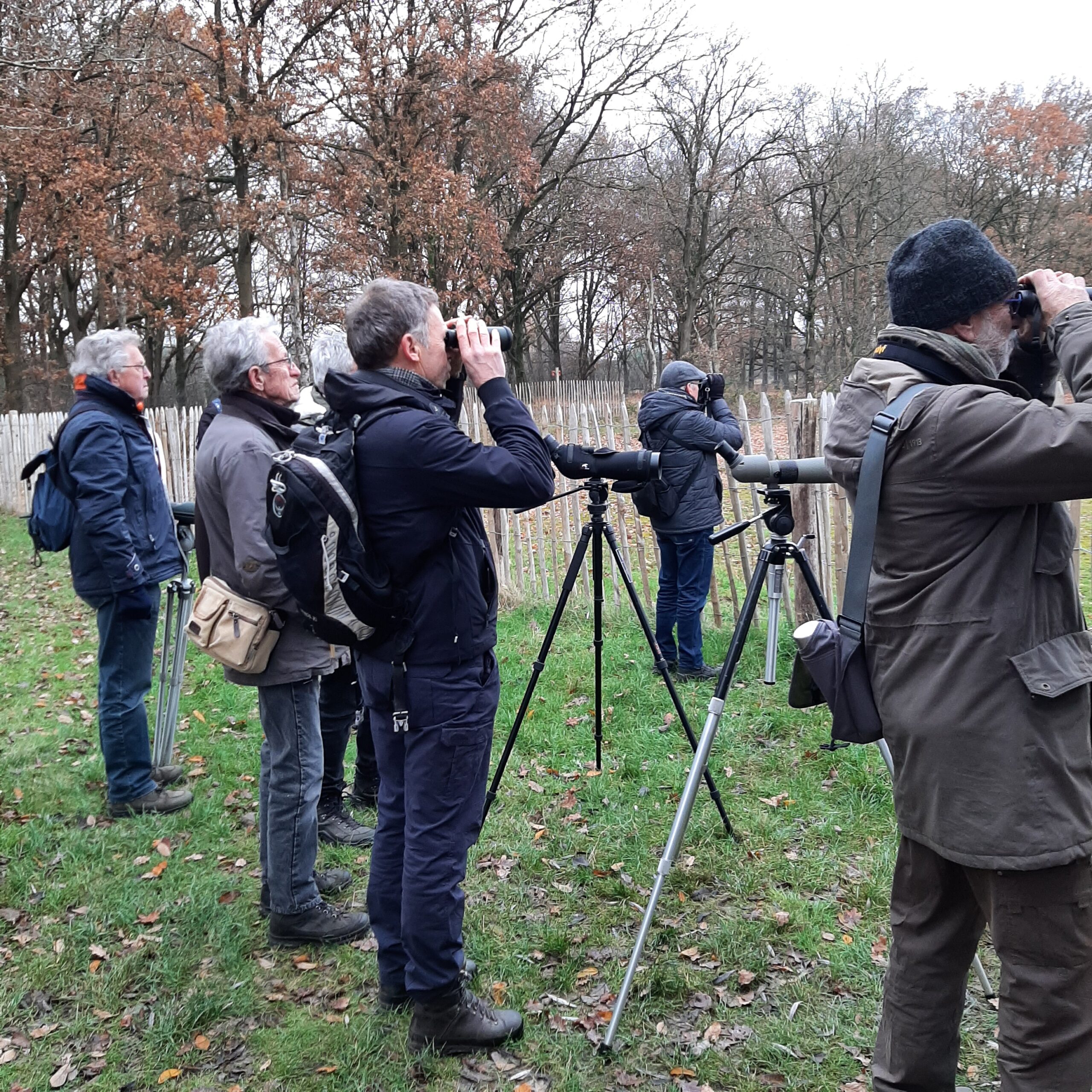 Mensen kijken met verrekijkers en telescopen naar vogels in een bosachtig gebied.