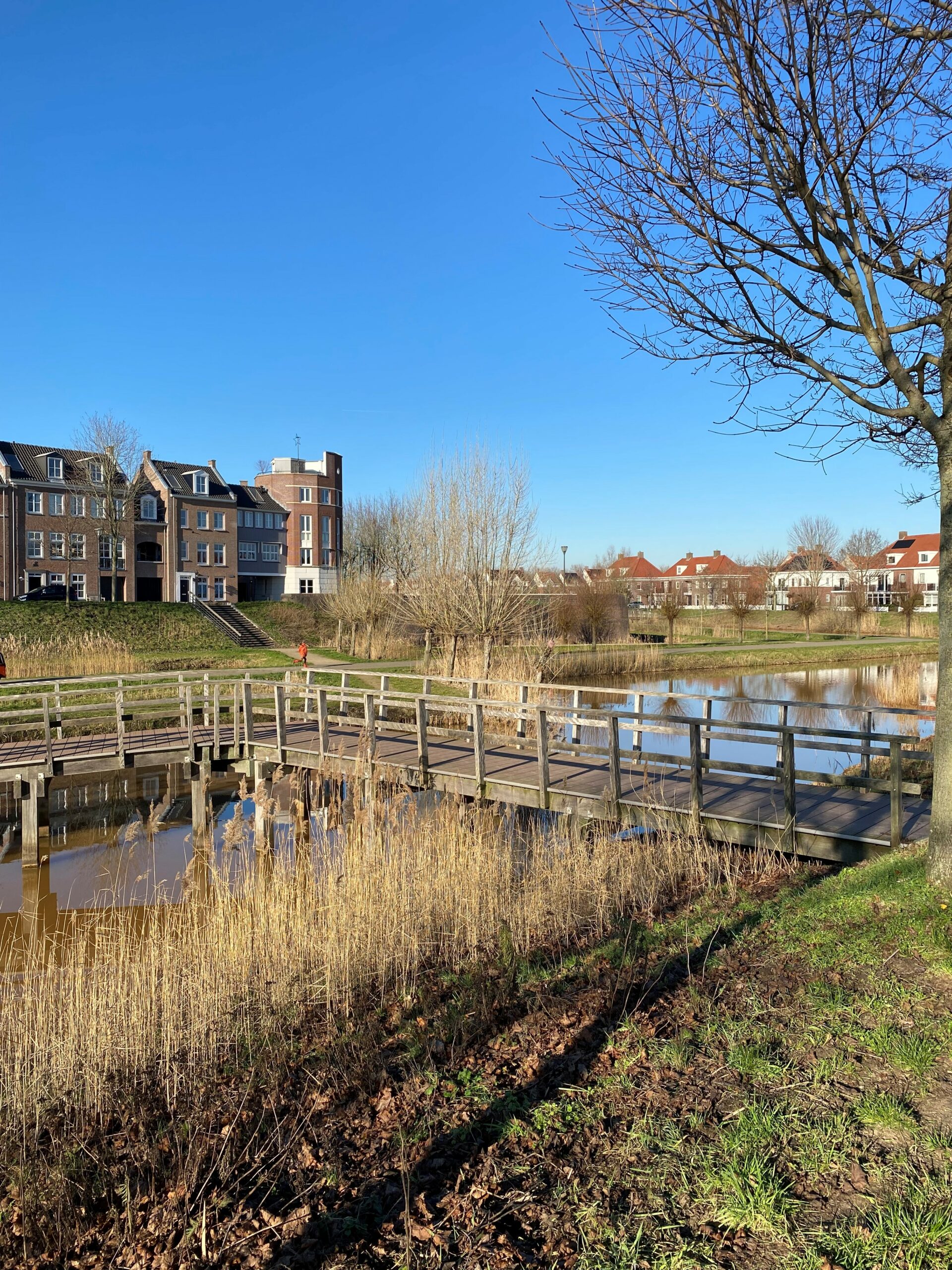 Houten brug over een vijver met riet, omgeven door huizen en bomen onder een blauwe hemel.