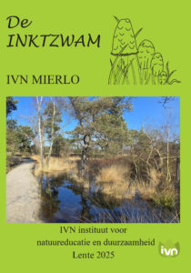 Inktzwam Winter 2024