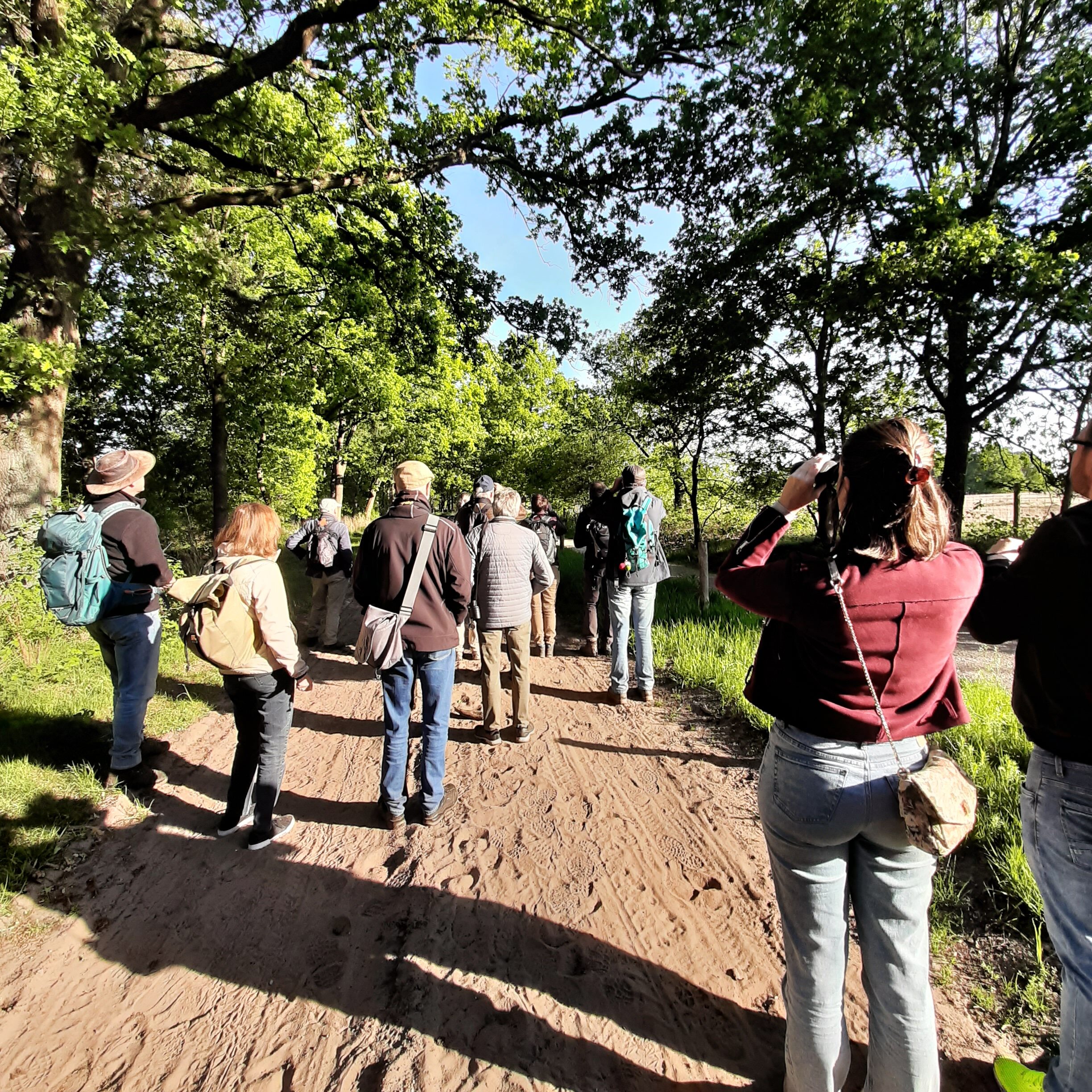 Groep mensen wandelt op bospad, omringd door bomen op zonnige dag.