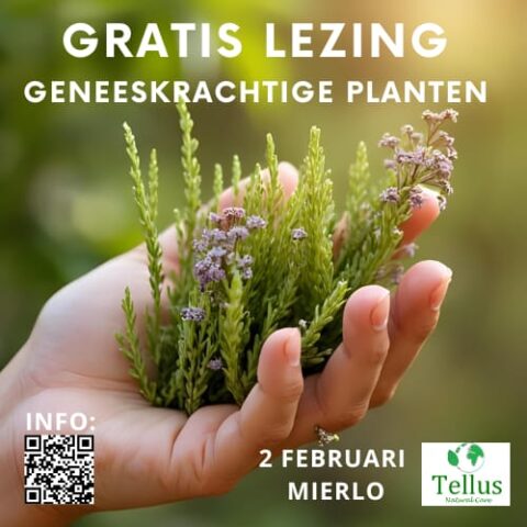Hand met geneeskrachtige planten, info over gratis lezing in Mierlo op 2 februari. QR-code aanwezig.