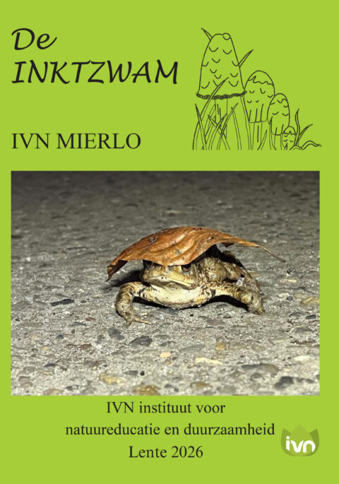 Een pad met een blad op zijn kop op een betonnen ondergrond, getoond op een felgroene poster.
