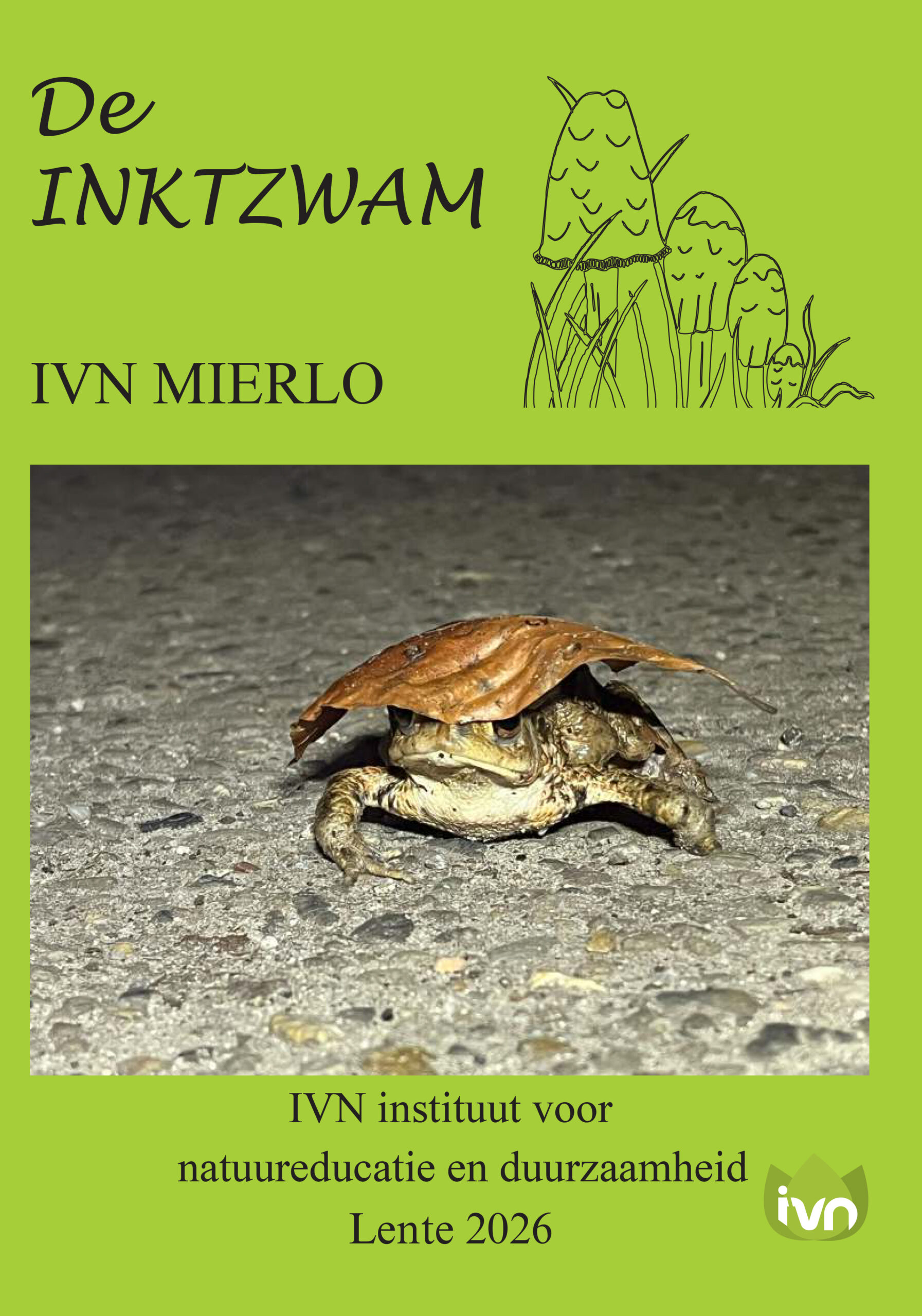 Een pad met een blad op zijn kop op een betonnen ondergrond, getoond op een felgroene poster.