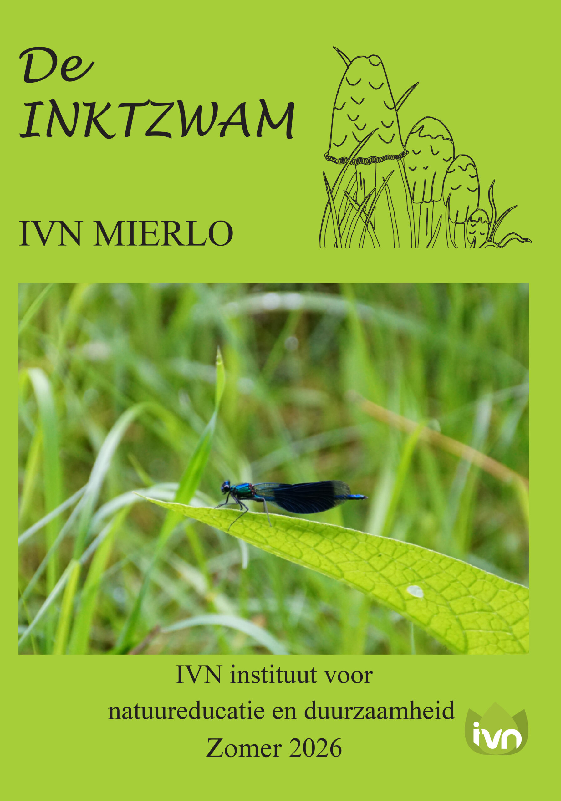 Omslag van nieuwsbrief "De Inktzwam" met libelle op een blad, zomer 2026, IVN Mierlo.