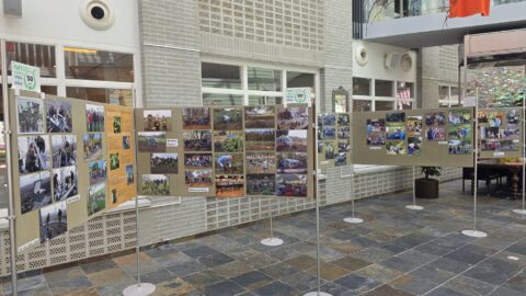 Tentoonstellingspanelen met foto's en tekst over natuurprojecten door IVN Mierlo, in een binnenhal.