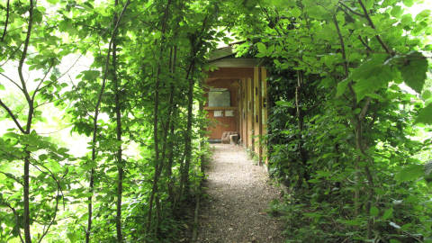Pad met groene loofbogen leidt naar een houten gebouw met informatieborden.