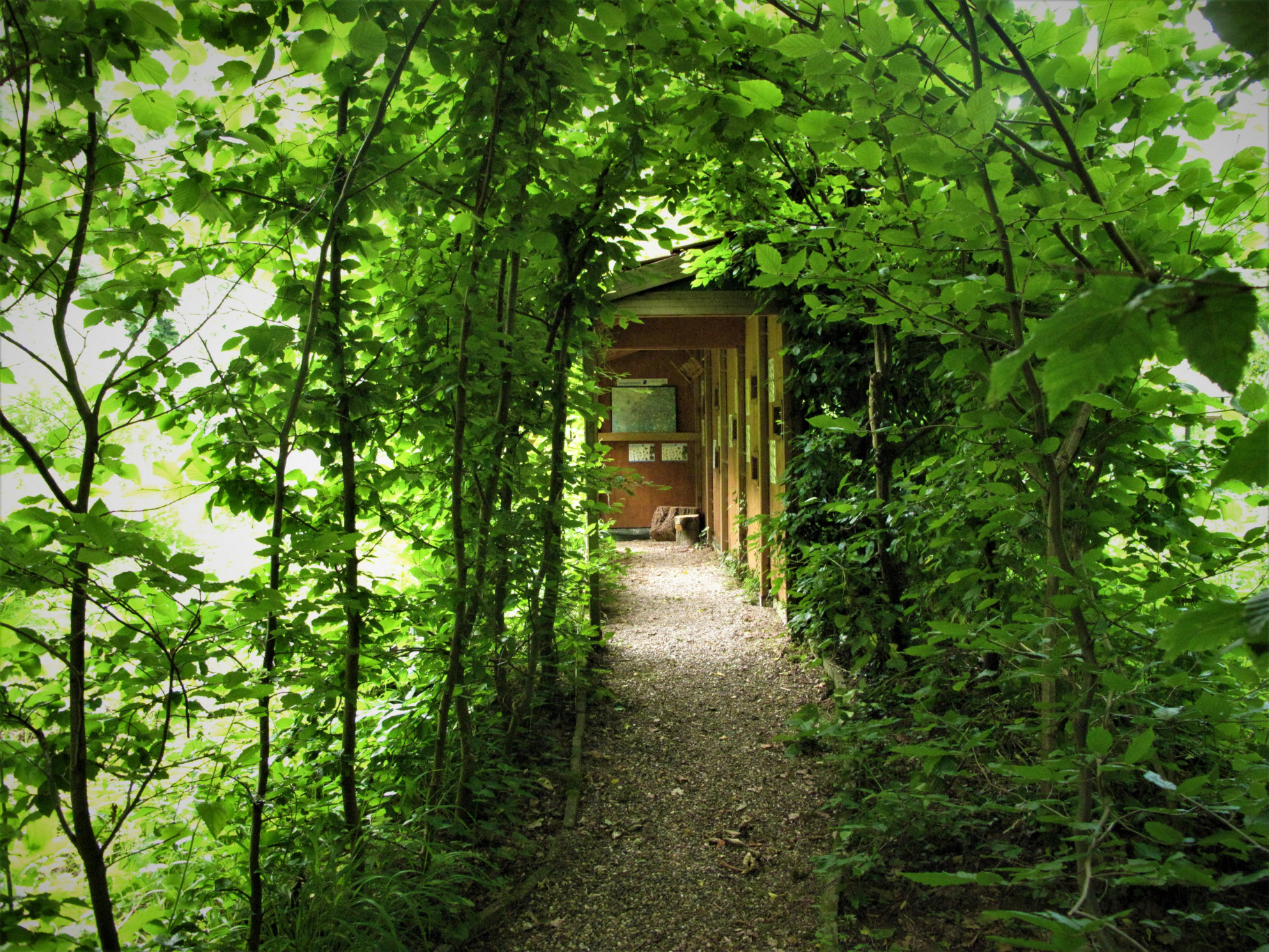 Vogelkijkwand