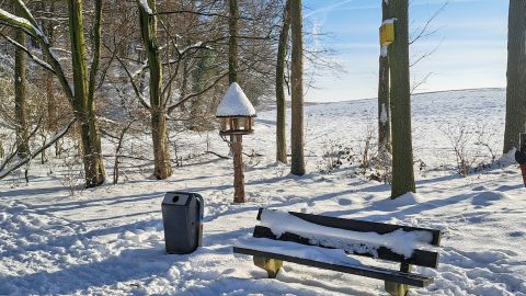 Besneeuwde bank en prullenbak in winters boslandschap met voederhuisje en bomen.