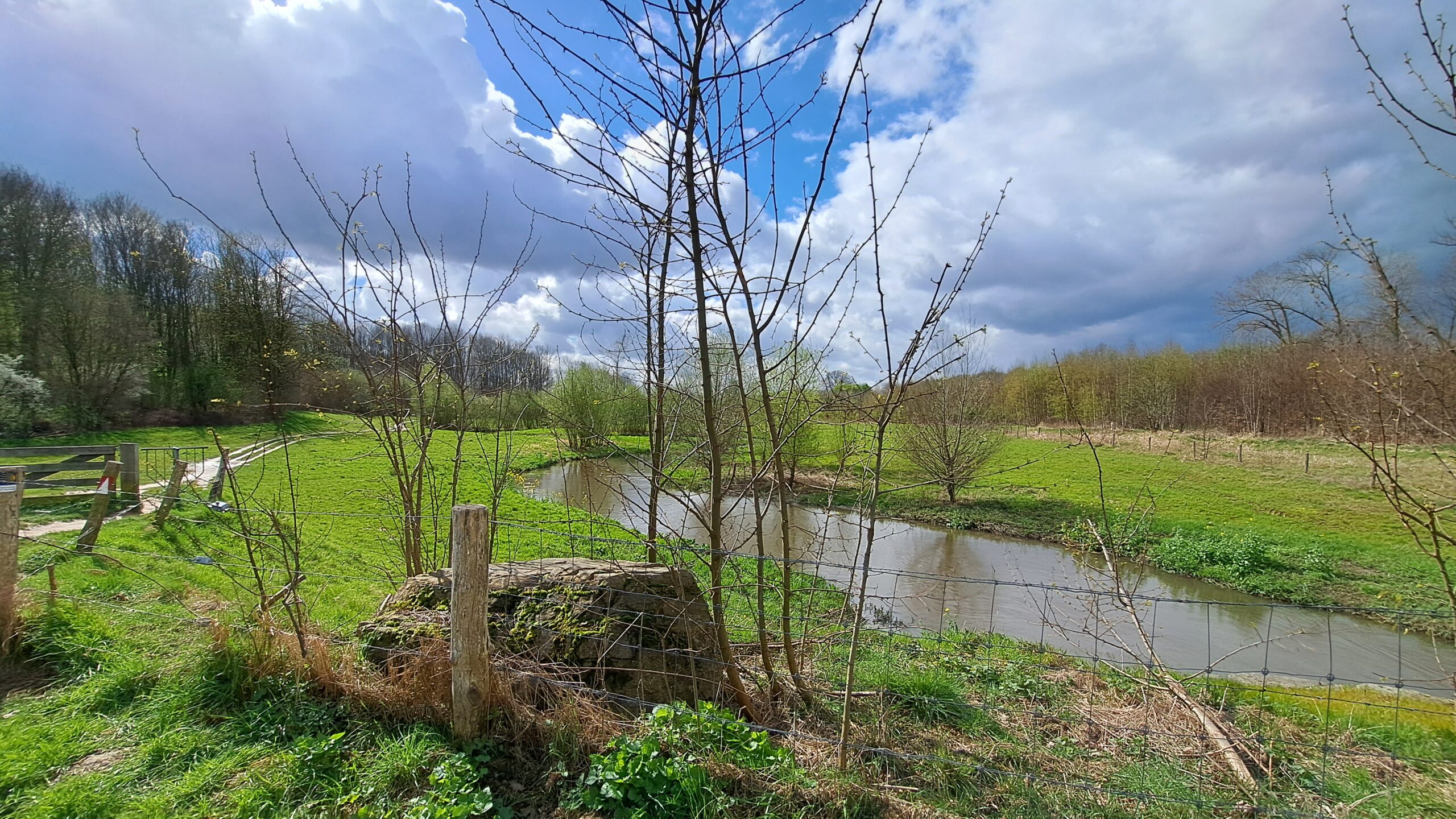 Landelijk landschap met een beek, grasland, bomen en bewolkte blauwe lucht.