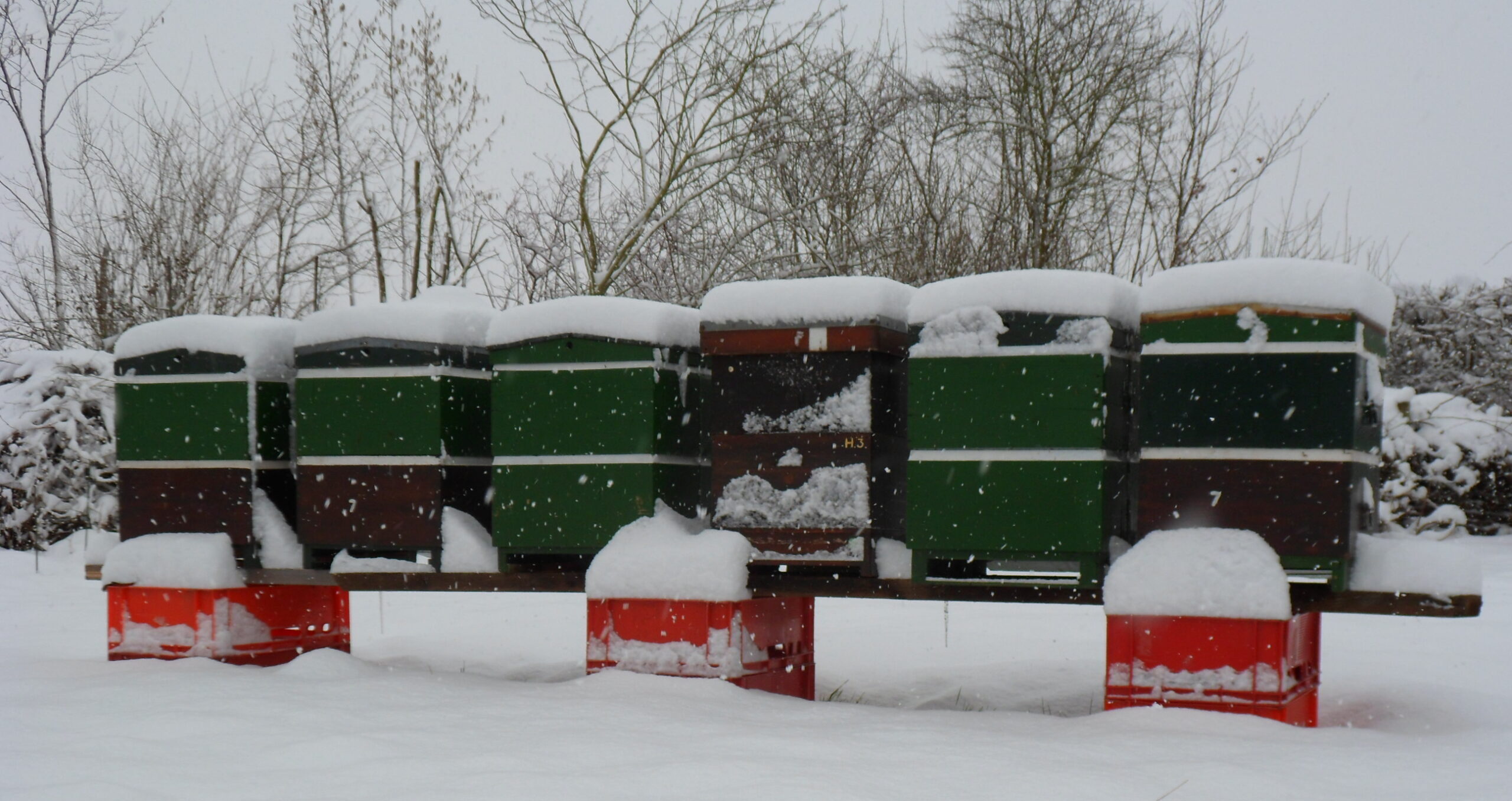 Bijenkasten bedekt met sneeuw staan buiten in een besneeuwd winterlandschap.