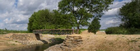 Een houten brug over een smalle beek, omgeven door bomen en bewolkte hemel.