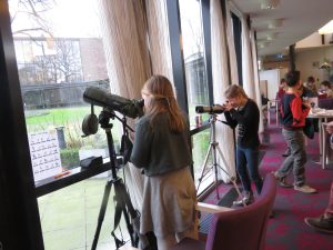 Werkgroep Vogels