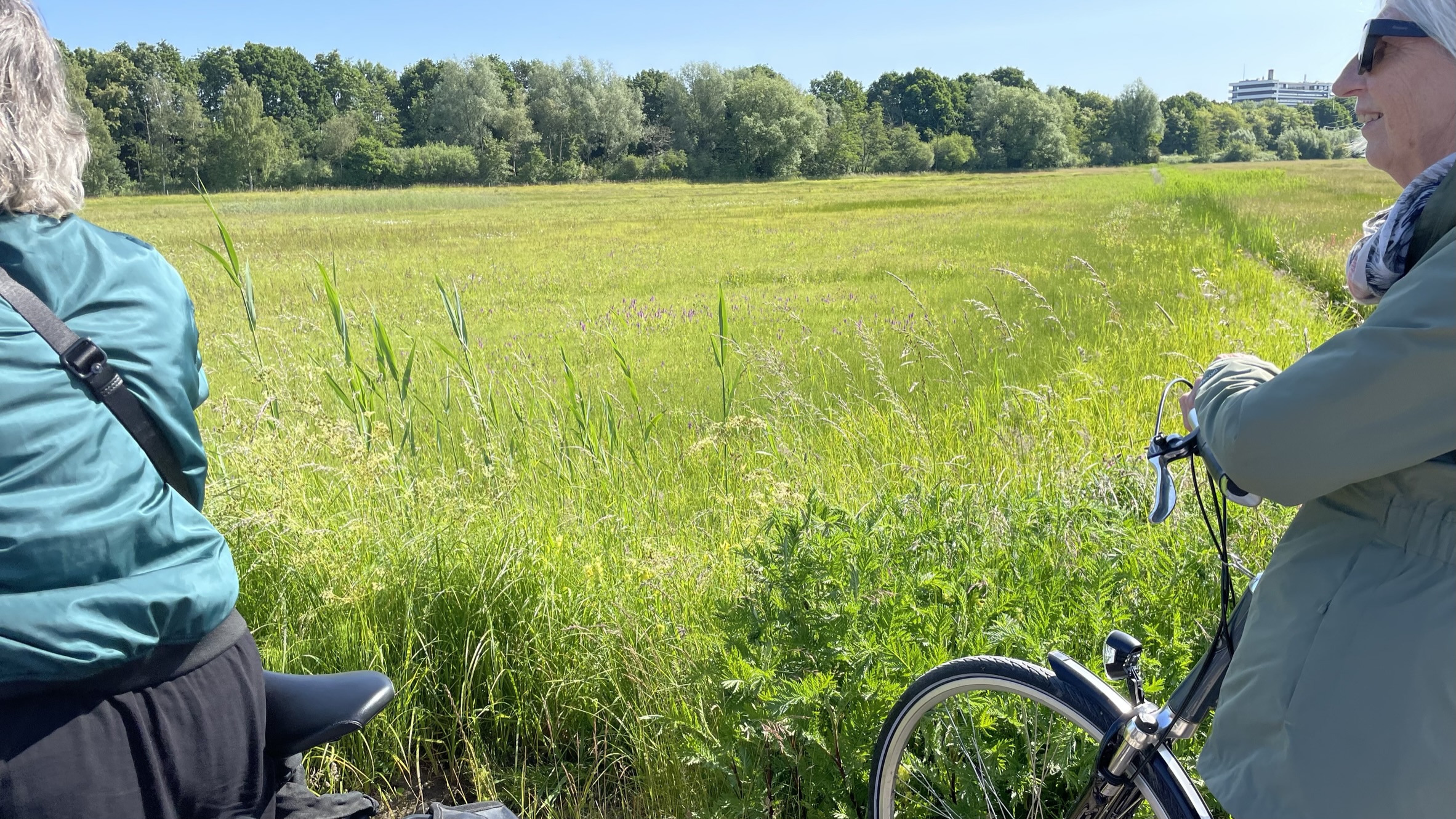 Twee personen fietsen langs een groen veld met bos op de achtergrond op een zonnige dag.