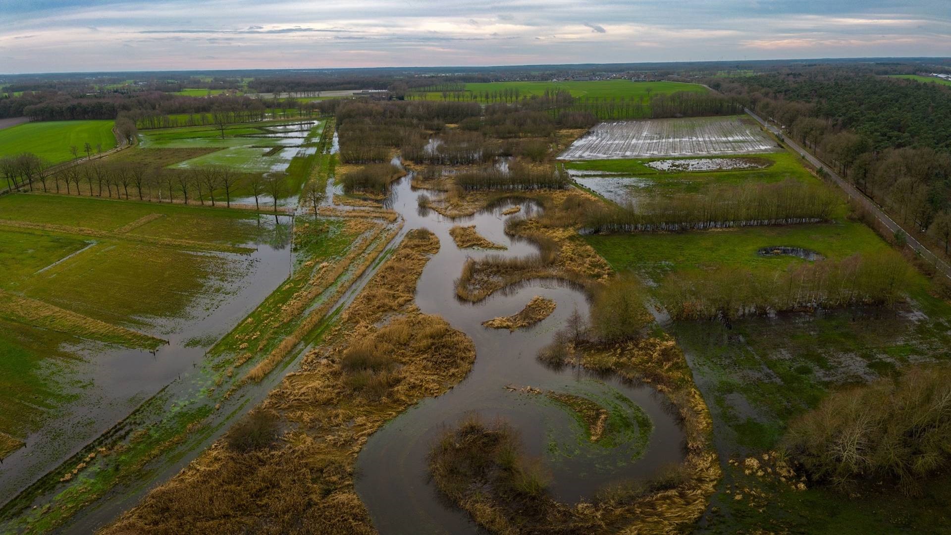 Kronkelende rivier door groen en ondergelopen landschap, omgeven door bomen en weiden onder bewolkte hemel.