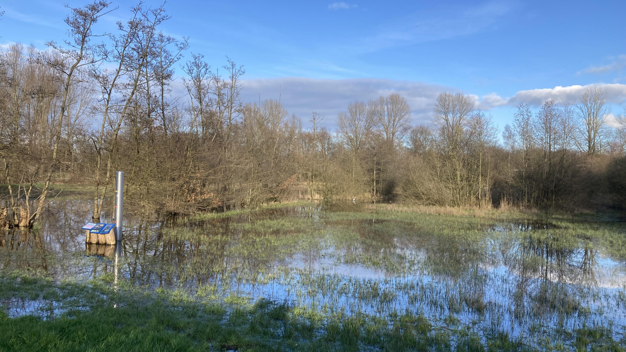 Veld met bomen weerspiegeld in water, onder blauwe lucht; informatiebord links.