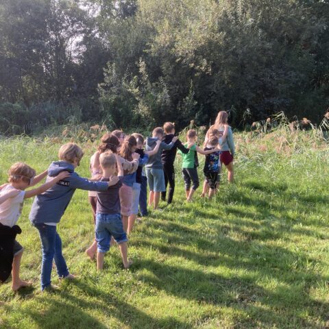 Een groep kinderen loopt achter elkaar aan, hand in hand, op een grasveld naast bomen.