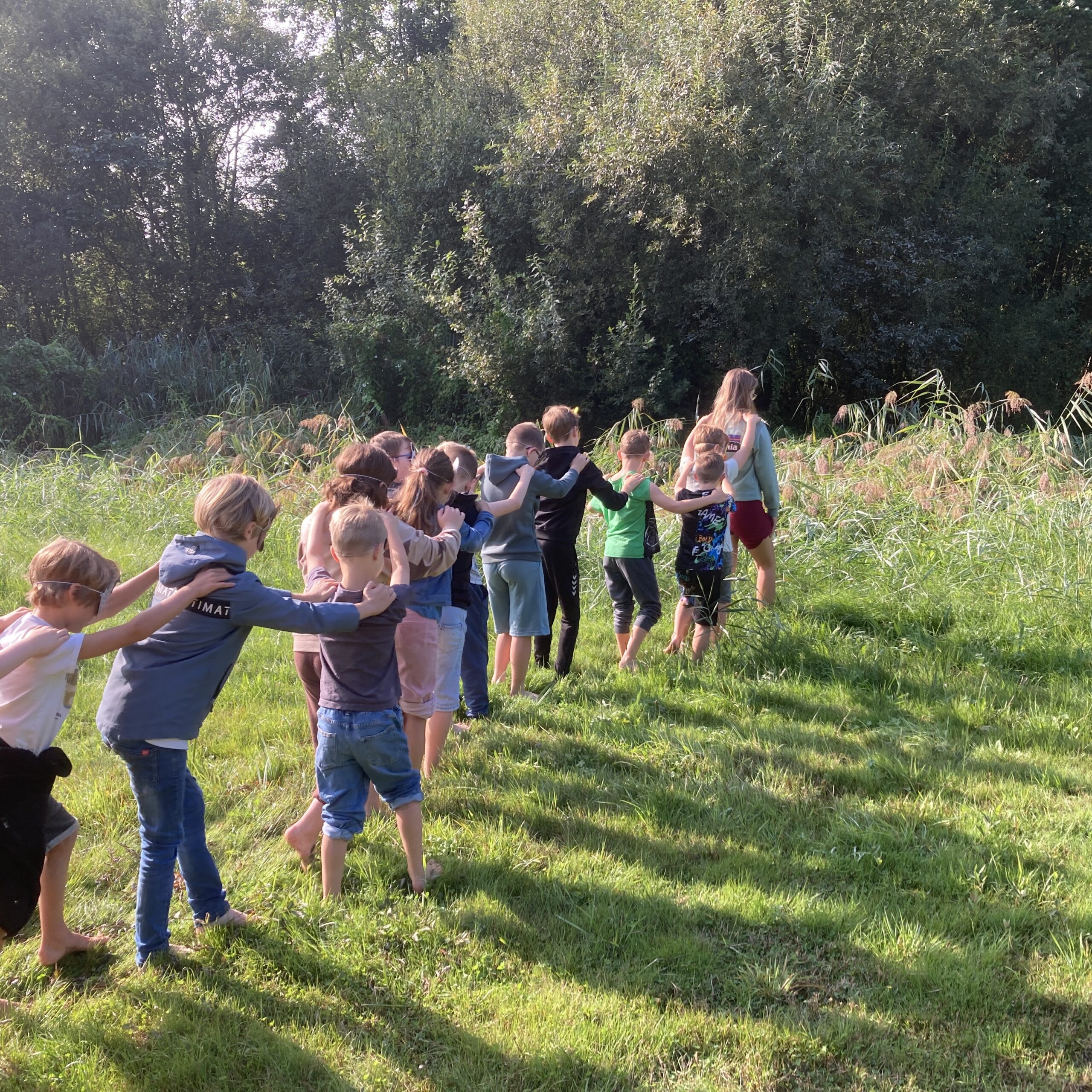 Een groep kinderen loopt achter elkaar aan, hand in hand, op een grasveld naast bomen.