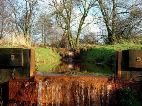 Klein beekje met waterval, omgeven door bomen en graslandschap, zonnige dag.
