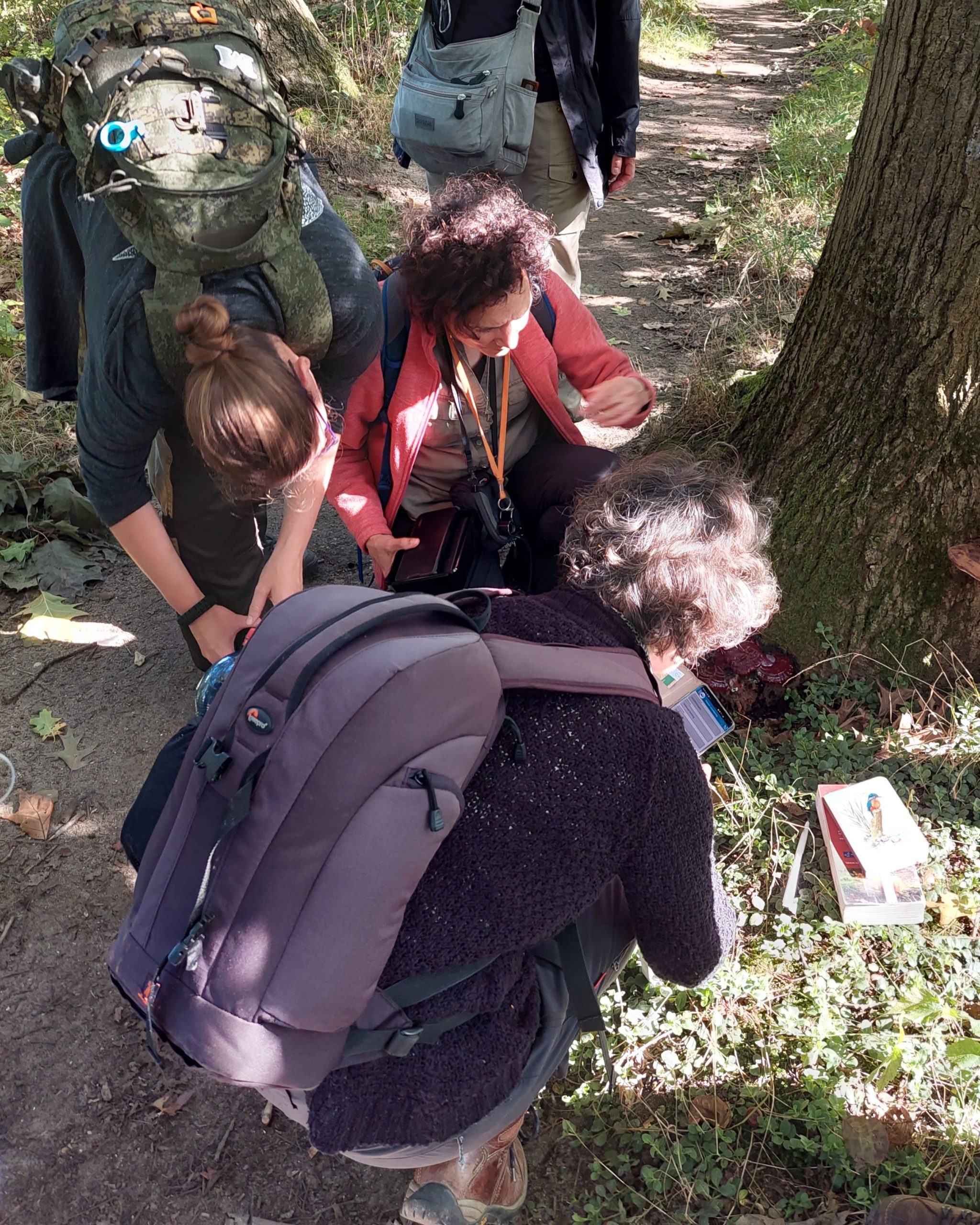 Mensen onderzoeken de grond bij een boom in een bos, met rugzakken en veldgidsen in gebruik.