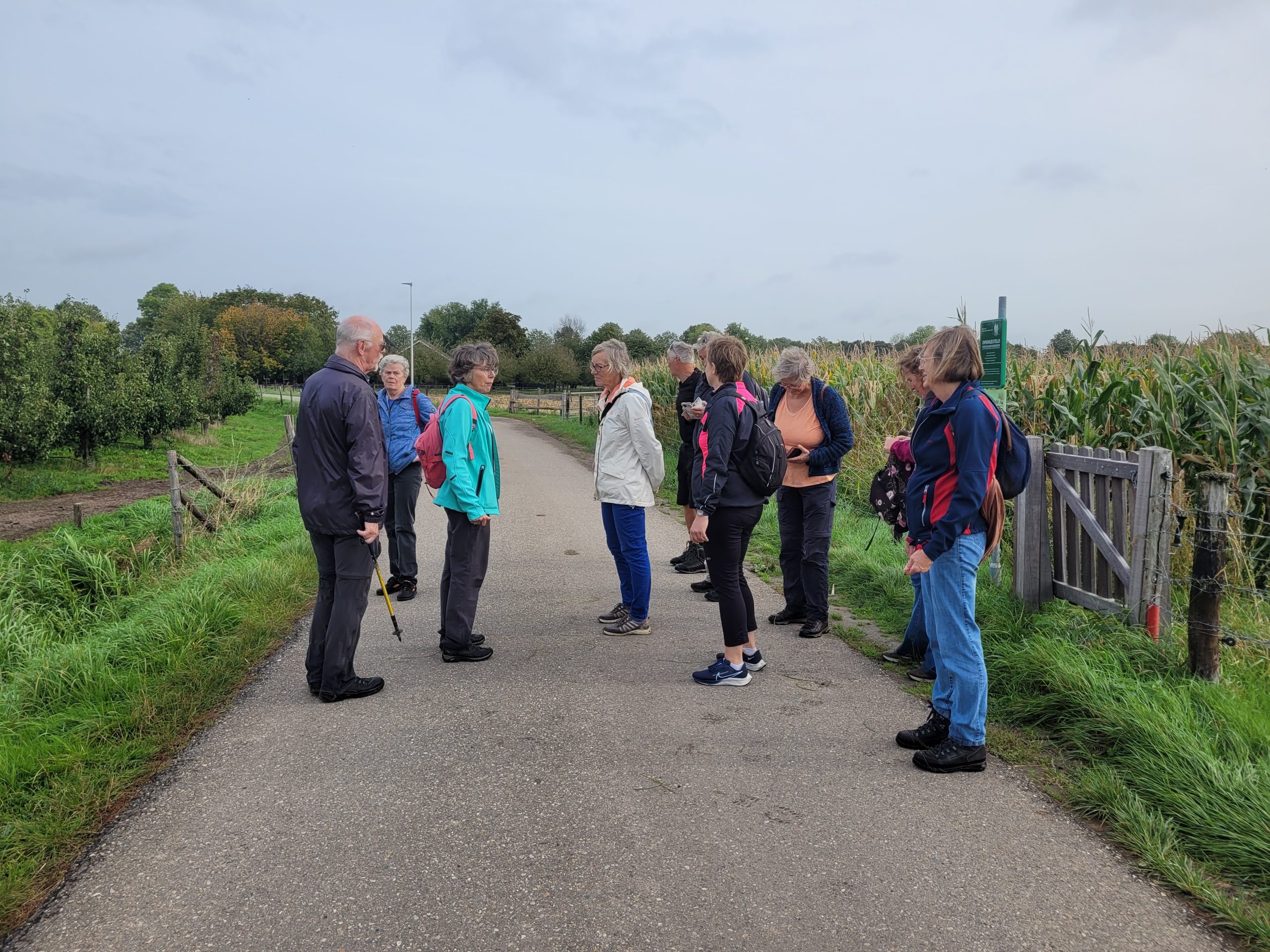 Groep wandelaars op een plattelandsweg met velden en bomen op de achtergrond.