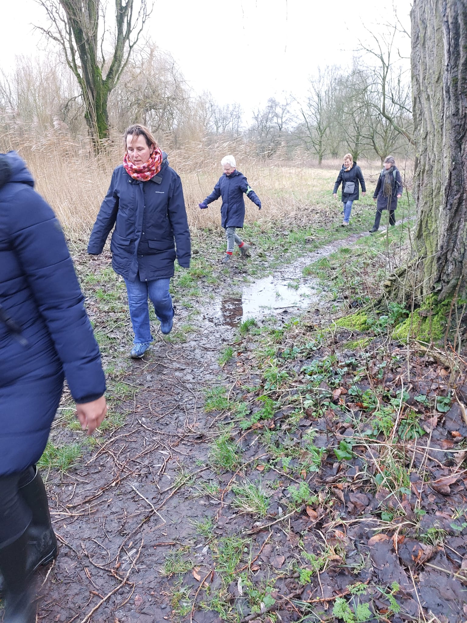 Mensen wandelen op een modderig bospaadje in een winters landschap.
