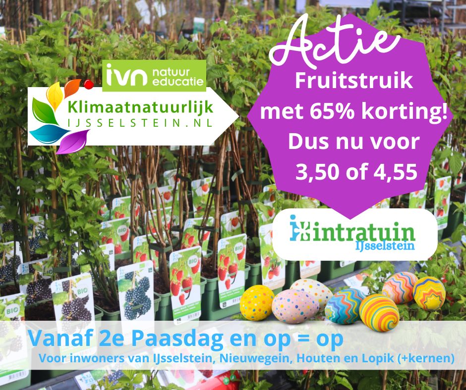 Aanbieding fruitstruiken met 65% korting bij Intratuin IJsselstein met kleurrijke paaseieren op de voorgrond.